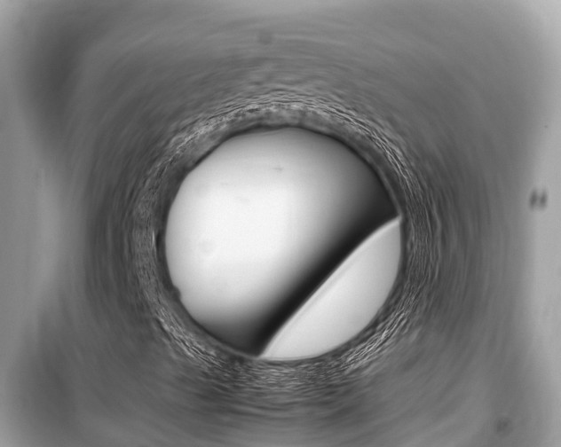 X0000099941489200805231009