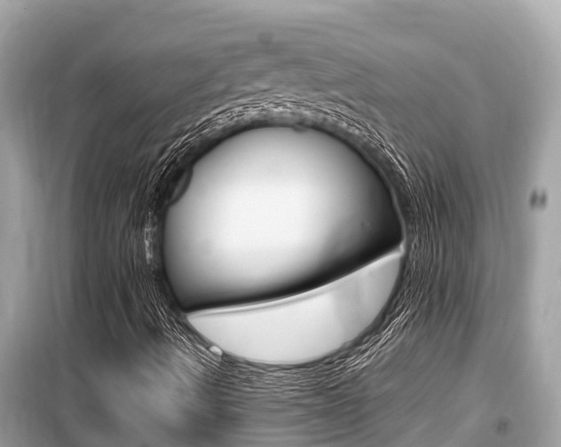 X0000099941490200805231009