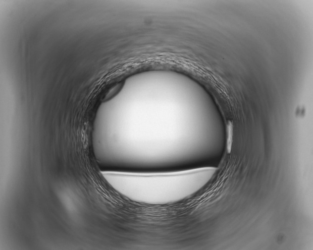 X0000099941491200805231009