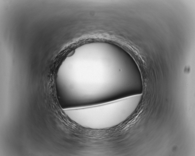 X0000099941494200805231009