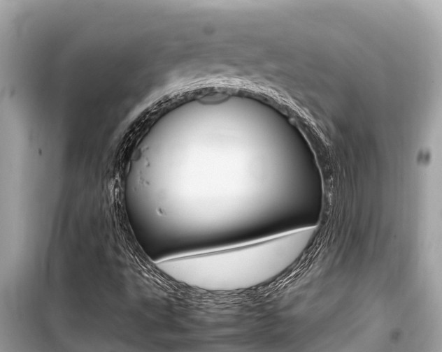 X0000099941495200805231009