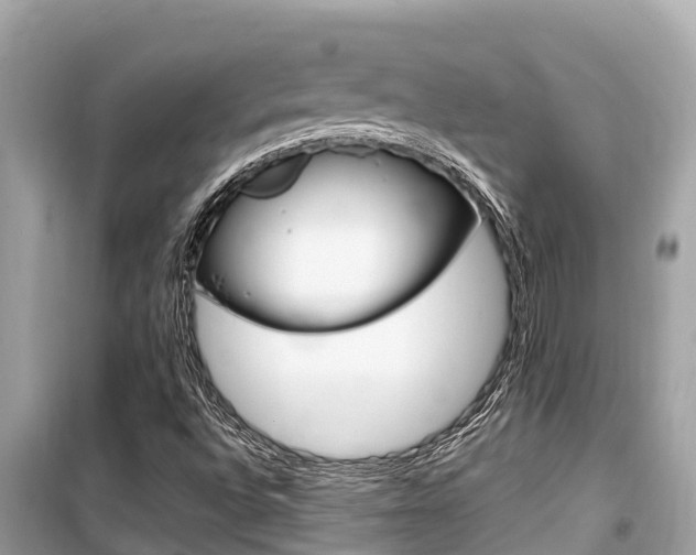 X0000099941496200805231009
