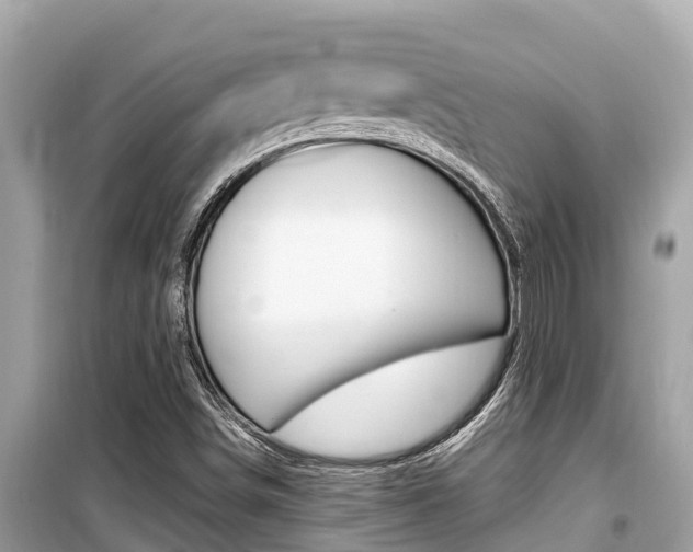 X0000099941498200805231009