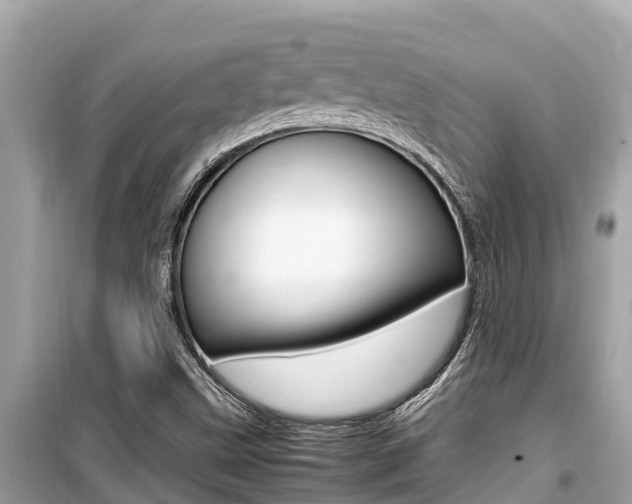 X0000099941499200805231009