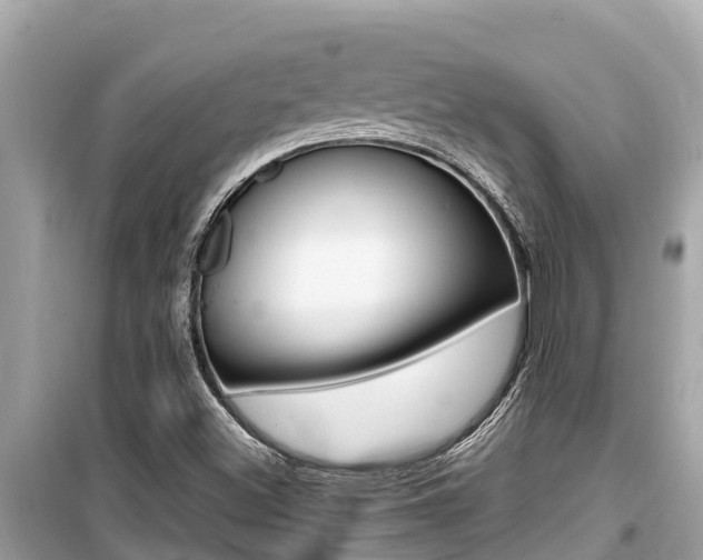 X0000099941500200805231009