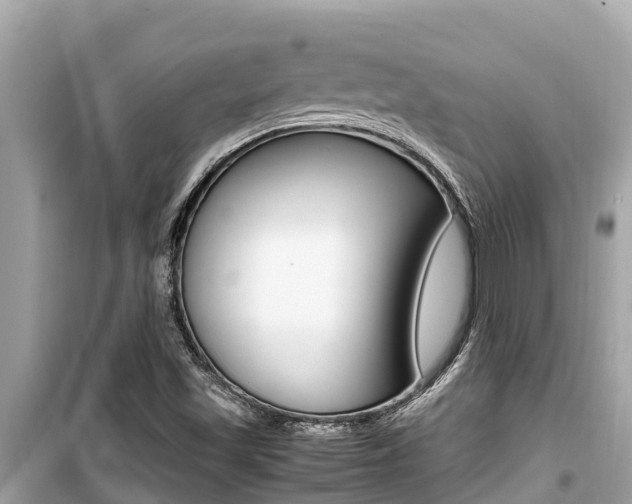X0000099941501200805231009