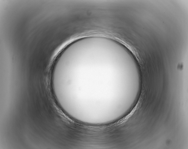 X0000099941502200805231009