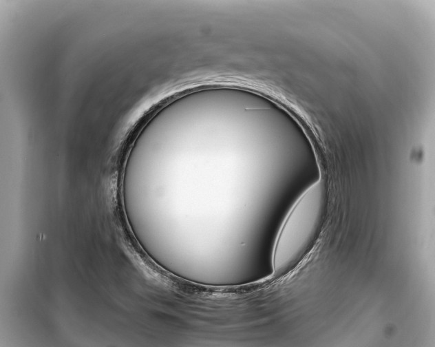 X0000099941503200805231009