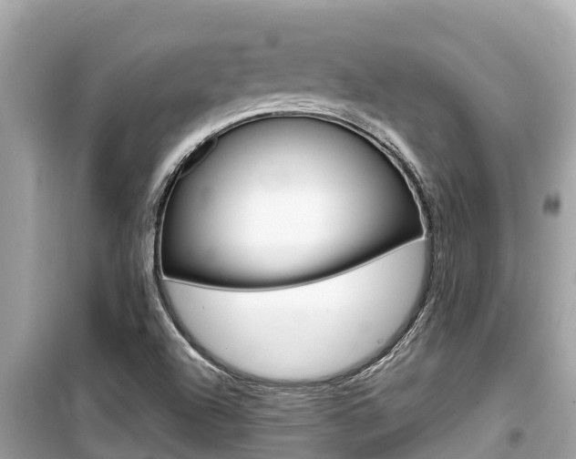 X0000099941504200805231009