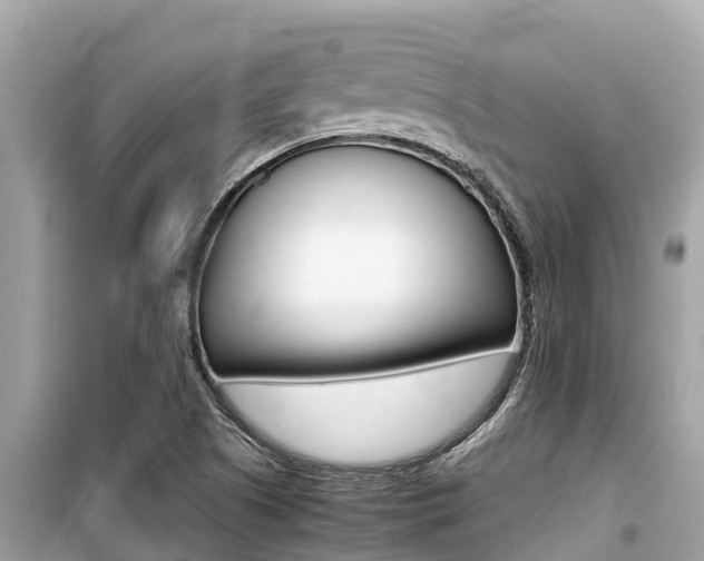 X0000099941505200805231009