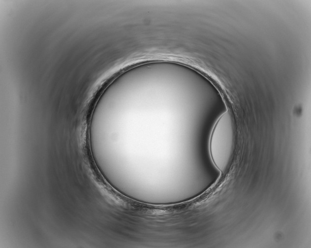 X0000099941507200805231009