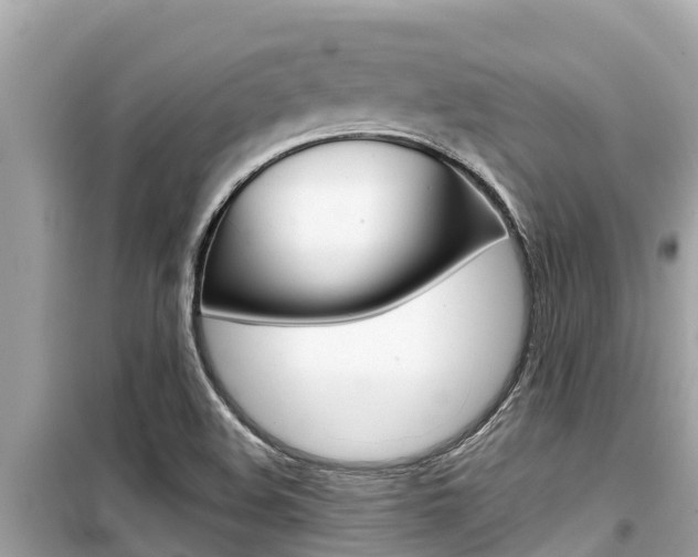 X0000099941508200805231009