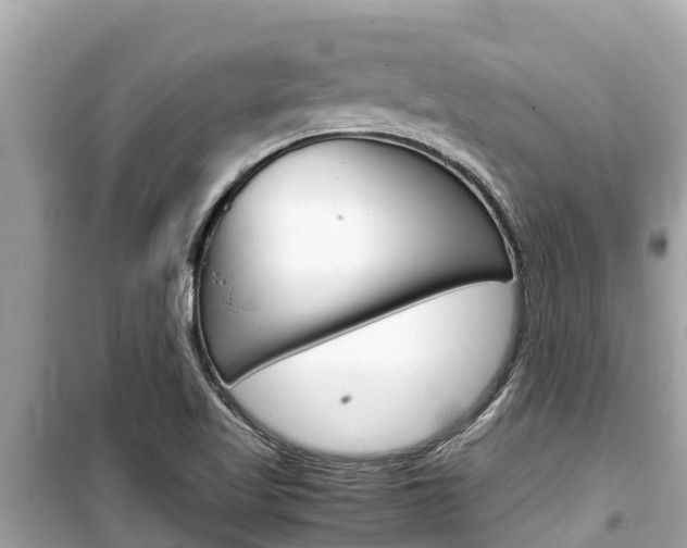 X0000099941509200805231009
