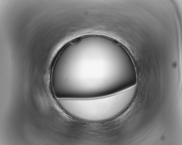 X0000099941511200805231009