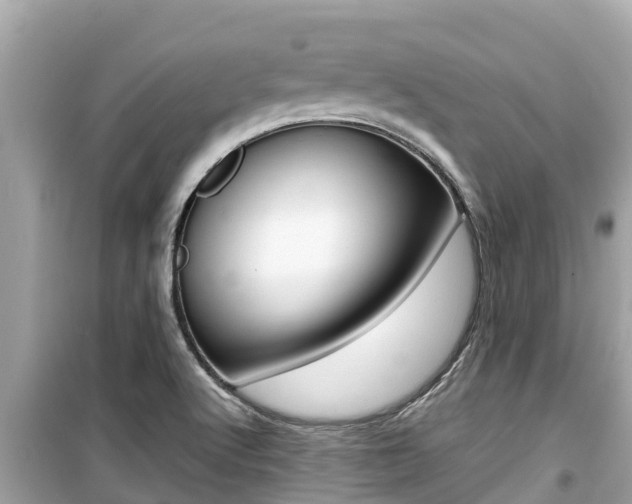 X0000099941512200805231009