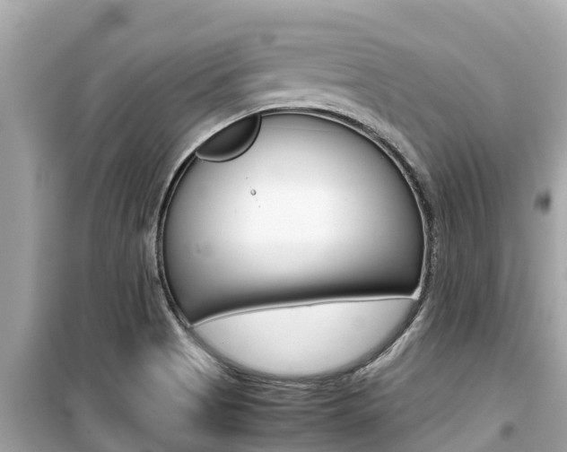 X0000099941513200805231009