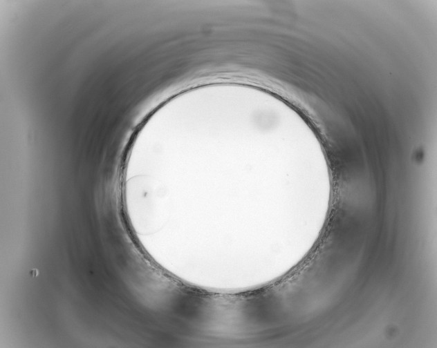 X0000099941514200805231009