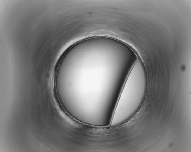 X0000099941515200805231009
