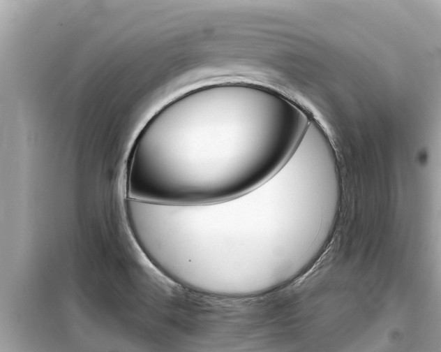 X0000099941516200805231009