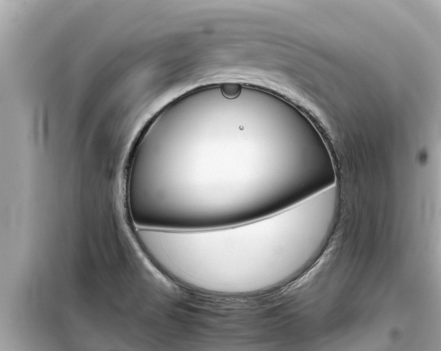 X0000099941517200805231009