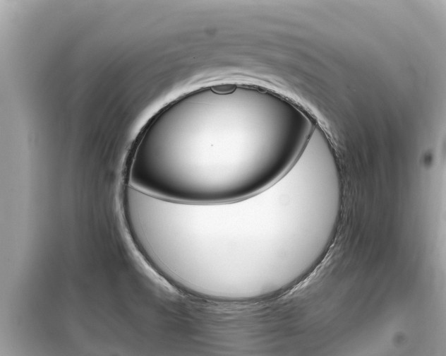 X0000099941518200805231009