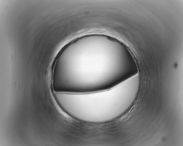 X0000099941519200805231009