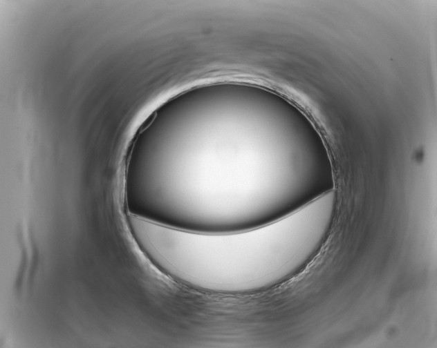 X0000099941520200805231009