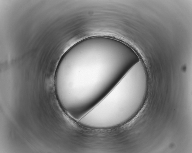 X0000099941521200805231009
