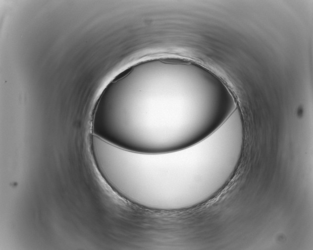 X0000099941524200805231009
