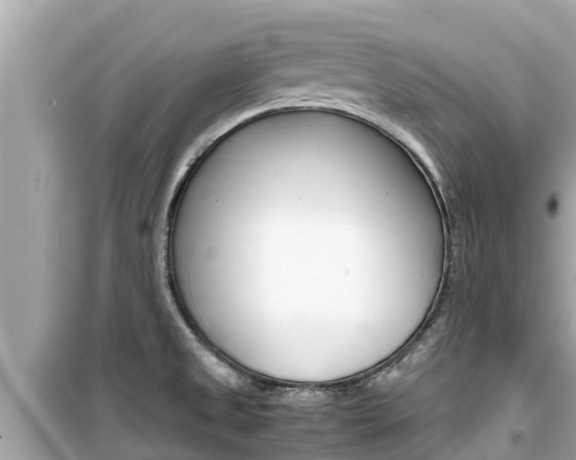 X0000099941525200805231009