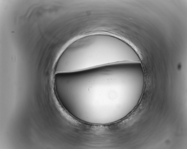X0000099941526200805231009