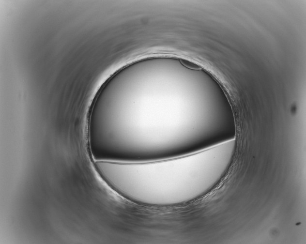 X0000099941527200805231009