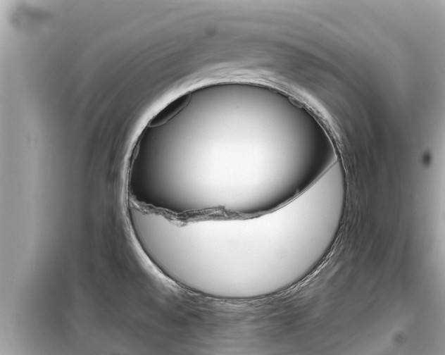 X0000099941528200805231009