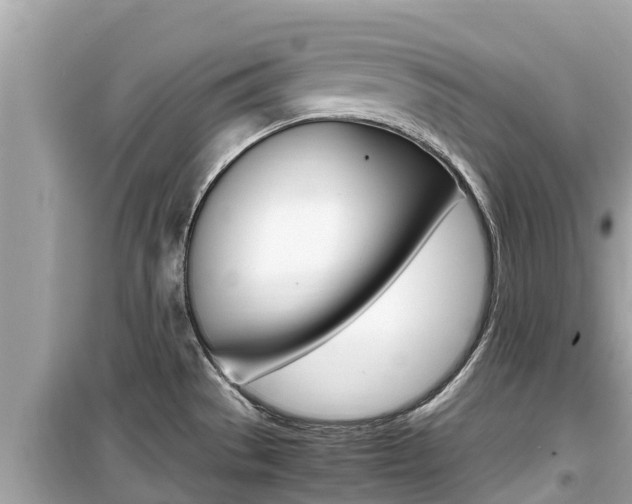 X0000099941529200805231009