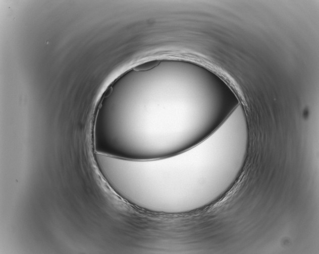 X0000099941530200805231009