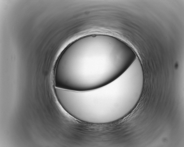 X0000099941531200805231009