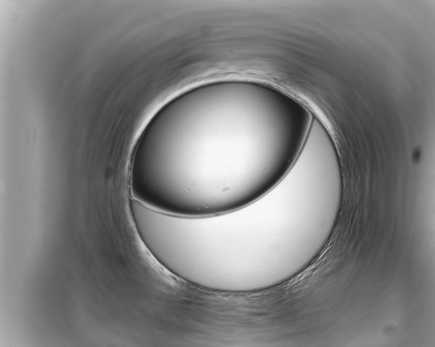 X0000099941532200805231009