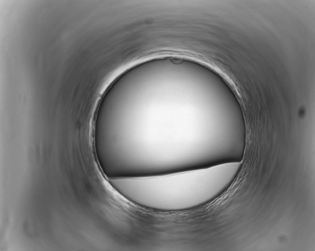 X0000099941535200805231009