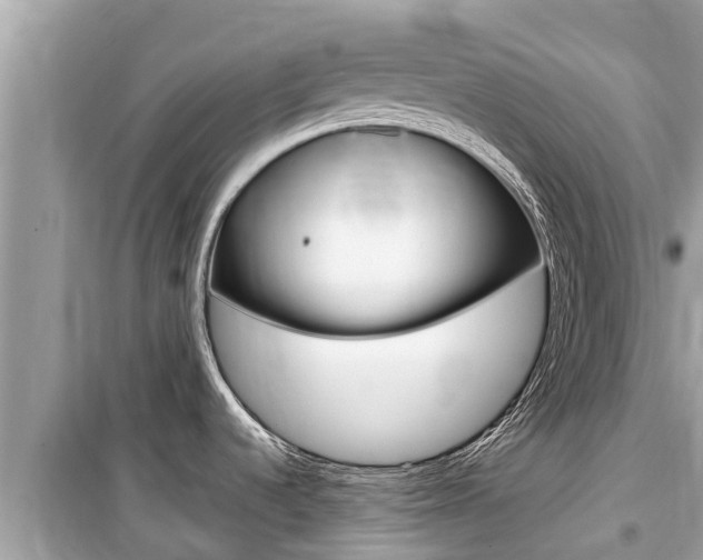 X0000099941536200805231009