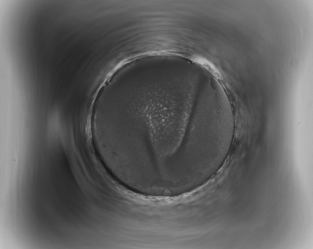 X0000099940002200805231301