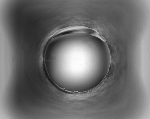 X0000099940005200805231301