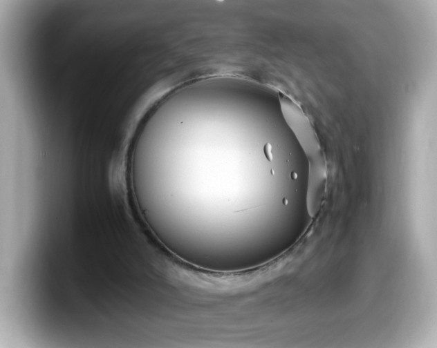 X0000099940006200805231301