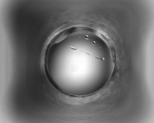 X0000099940007200805231301