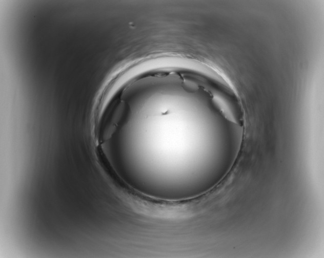 X0000099940008200805231301