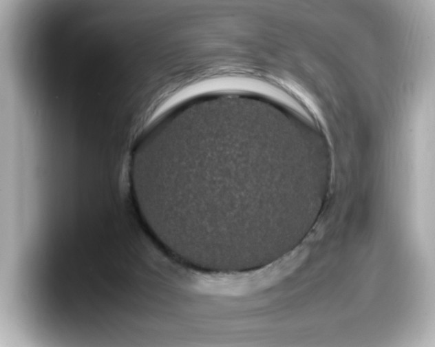 X0000099940009200805231301
