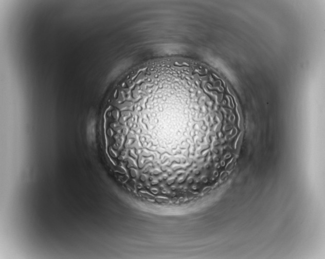 X0000099940010200805231301