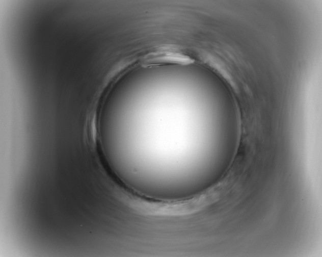 X0000099940011200805231301
