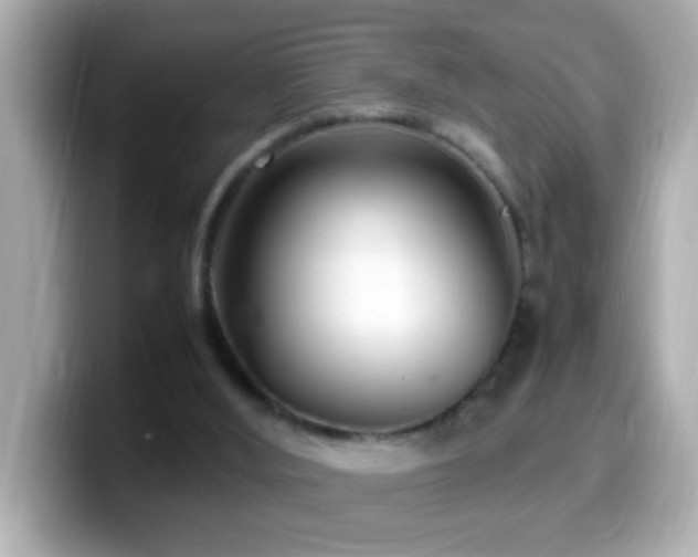 X0000099940012200805231301