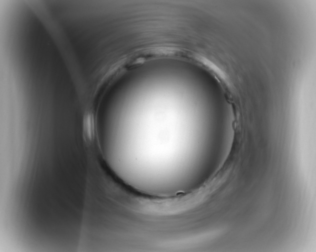 X0000099940013200805231301