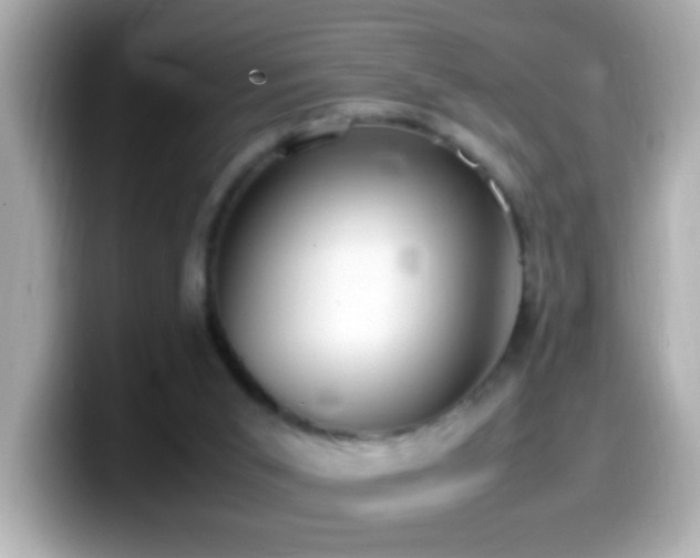 X0000099940015200805231301